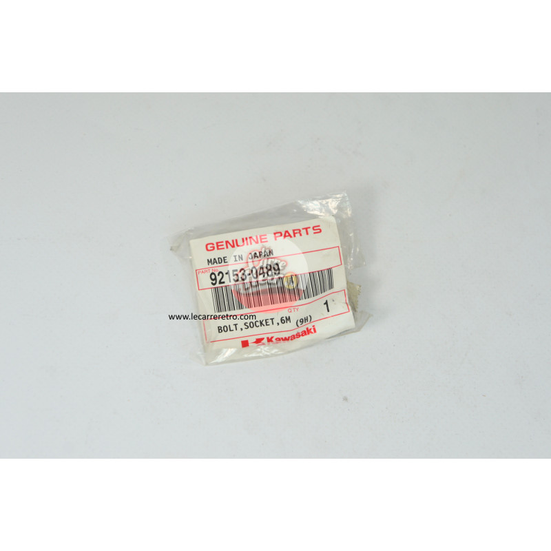 NEW KAWASAKI ZR750 SOCKET BOLT