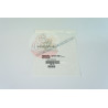 NEW YAMAHA TZR50 DECAL