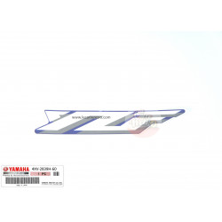 EMBLEME 1 YAMAHA YZF-R1