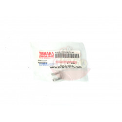CLIPS YAMAHA DT50R