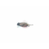 CALE PIED DROIT KAWASAKI ER500