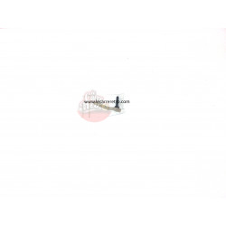 NEW SUZUKI GSF500 SCREW