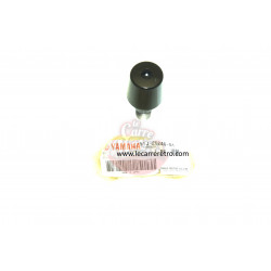 EMBOUT DE YAMAHA DIVERSION 600